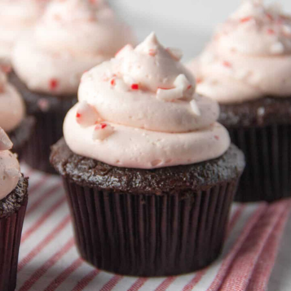 one chocolate cupcake with candy cane buttercream icing