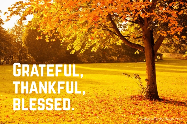 Trees during autumn season, with quote overlay