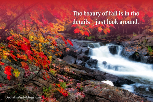 Beautify waterfalls during autumn, with quote overlay