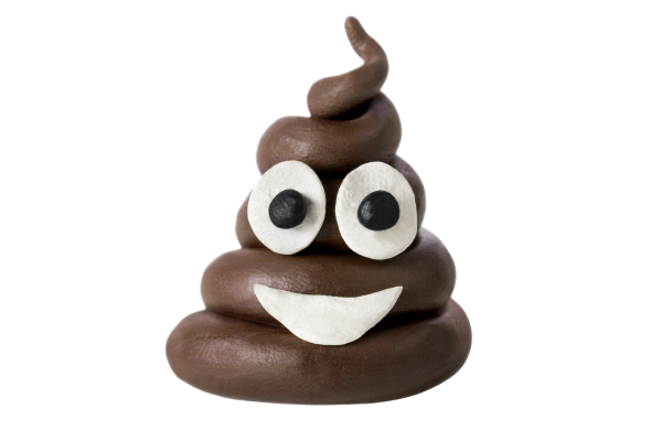 chocolate poop