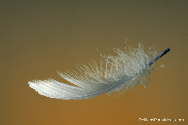 floating feather