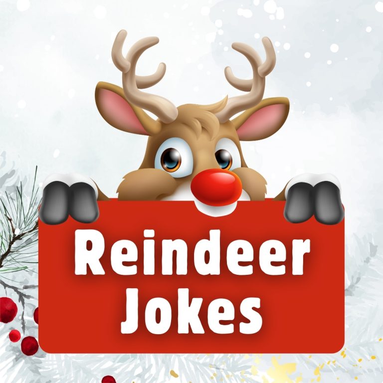 Reindeer Jokes