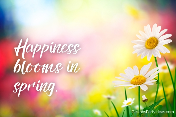 Spring meadow with daises, with quote overlay