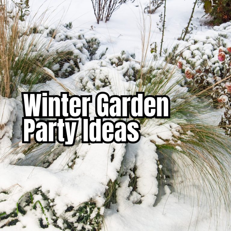 Winter Garden Party Ideas