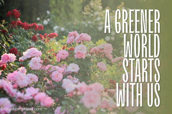 beautiful roses in bloom with quote overlay