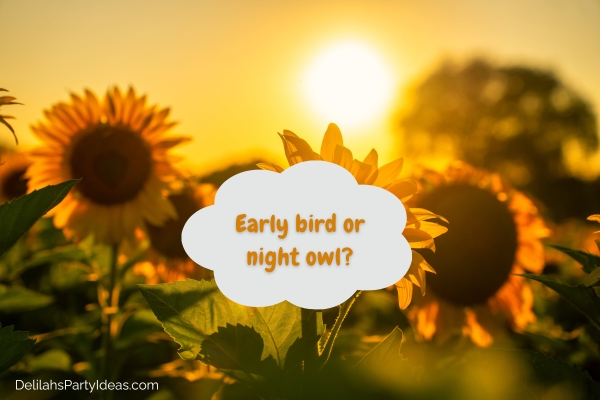 sunflowers blooming at sunrise with question overlay