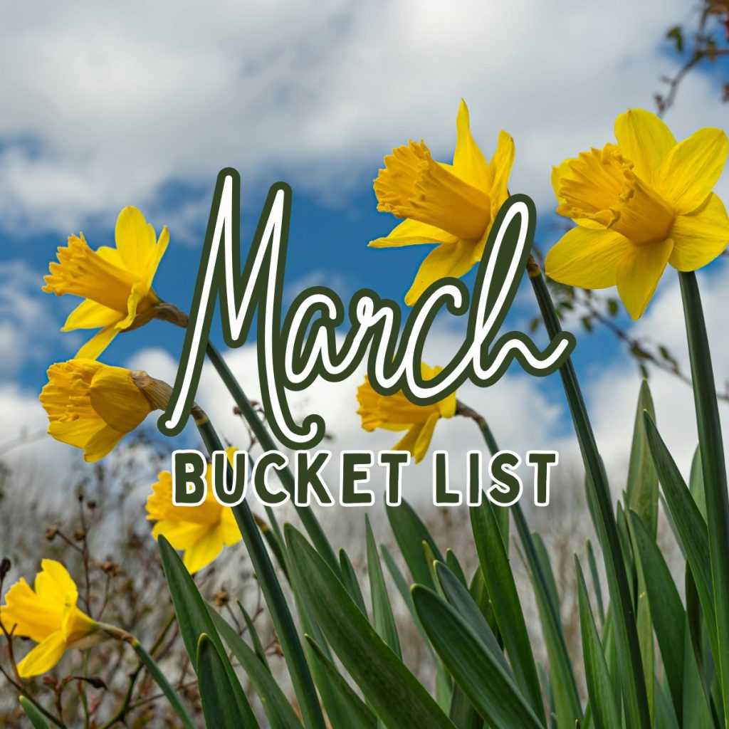 March Bucket List