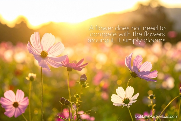 flowers in a field with quote overlay