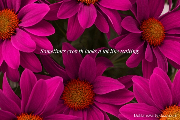 magenta pink flowers with quote overlay