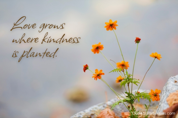 small orange flowers outdoor with quote overlay